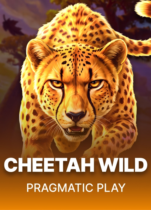 Cheetah Wild